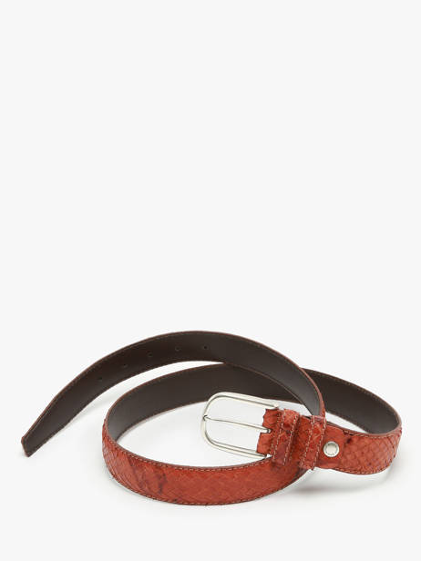 Ceinture Etrier Marron bride EBRI711C vue secondaire 3