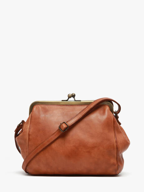 Sac Bandoulière Heritage Cuir Biba Marron heritage KAB21L vue secondaire 3