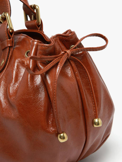 Sac Porté épaule Premium Gerard darel Marron premium DCS01419 vue secondaire 4